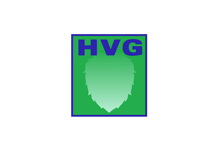HVG Logo teaser
