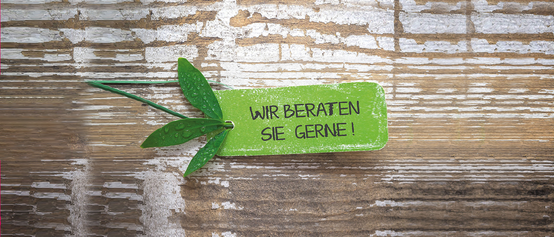 beratung de