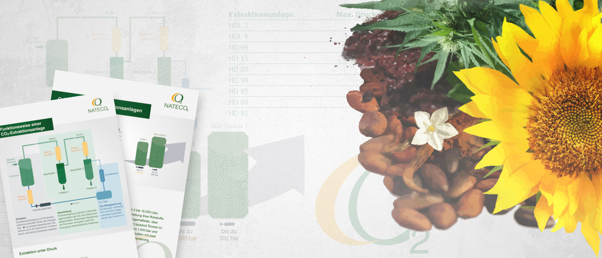co2 extraktionsfe